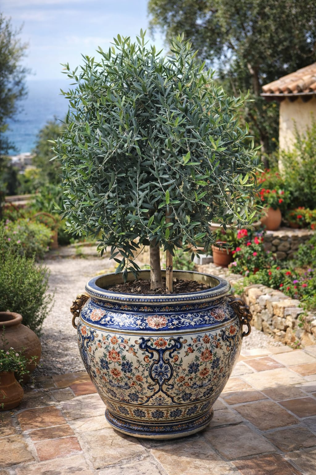 זיתילי על גזע